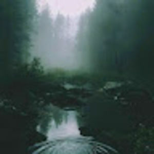 Meet your Posher, Versaatile